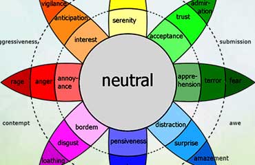 Colour Vastu